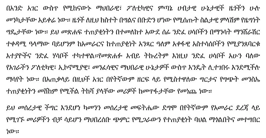 leadership-and-responsibility-alemu-amare