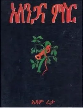 Adam Reta Ethio Book Review