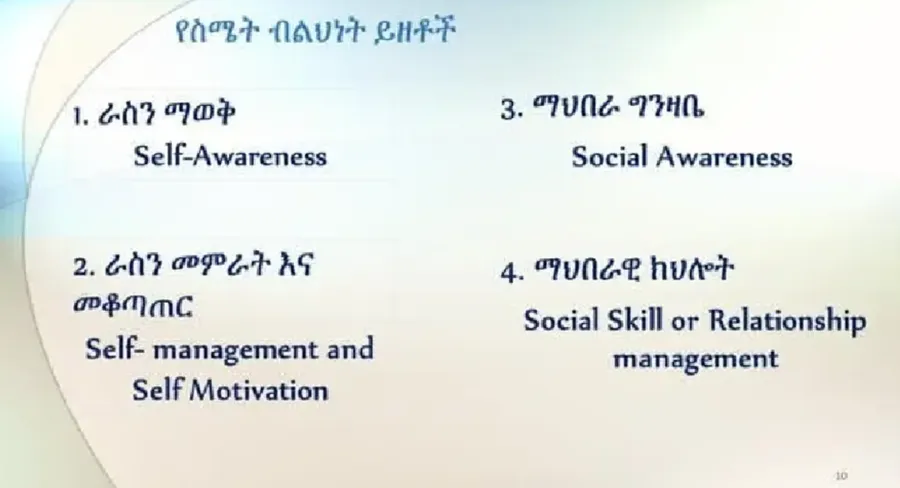simetin-bebilhat-memrat-emotional-intelligence-daniel-goleman-translated-by-birhanu-belachew